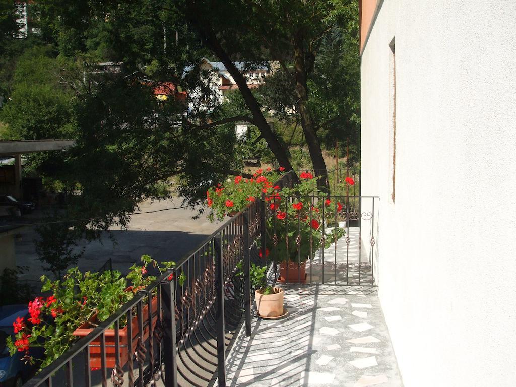 Vila Ana-Maria Sinaia Habitación foto