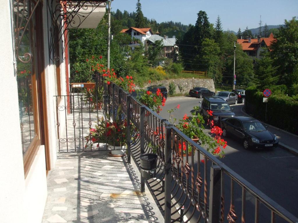 Vila Ana-Maria Sinaia Exterior foto